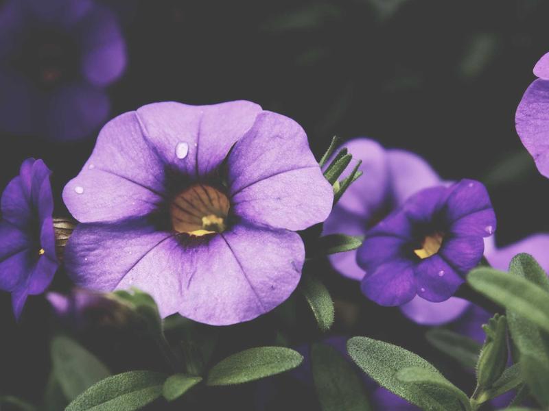 sudoku starter kit screenshot 3